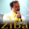 Ziba - Single