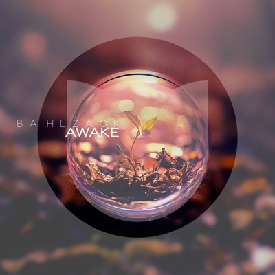 Awake