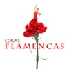 Mercedes Ruiz El Ganadero Coplas Flamencas