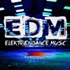 EDM (Elektrify Dance Music), 2013