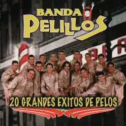 20 Grandes Éxitos de Pelos - Banda Pelillos