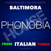 Phonobia (Expanded Groove Sensation from Italian Punch) artwork