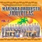 Como Han Pasado Los Años - Marimba Orquesta Jiquipilas lyrics
