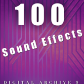 Car Horn - The Digital Sound Effects Group