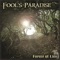 The Sole Survivor - Fools Paradise lyrics