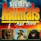 Lion Roars, Snarls - Sound Effects lyrics