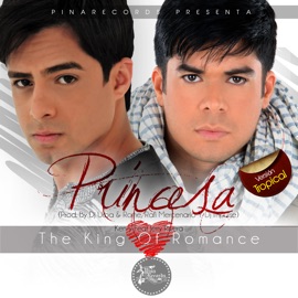 Princesa Remix (feat. Jerry Rivera) Ken-Y
