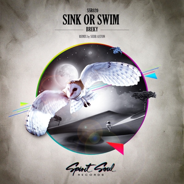 Sink or Swim - Single