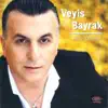 Veyis Bayrak - Bildirme Yar Yar