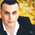 BİLDİRME YAR YAR
