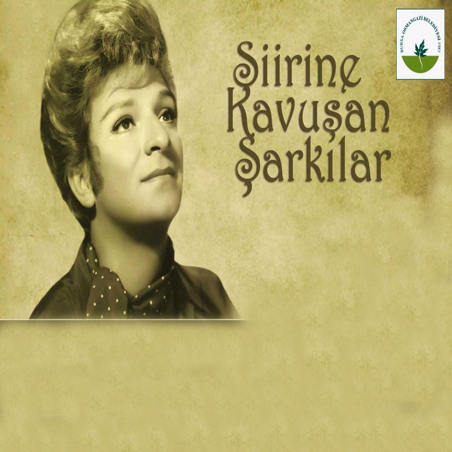 Şiirine Kavuşan Şarkılar