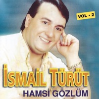 Hamsi Gözlüm, Vol. 2 - İsmail Türüt