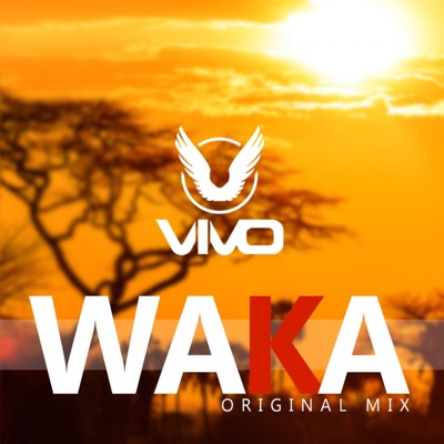 Waka - Single