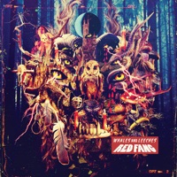 Red Fang - Doen