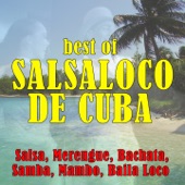 Best of Salsaloco de Cuba (Salsa, Merengue, Bachata, Samba, Mambo, Baila Loco) artwork