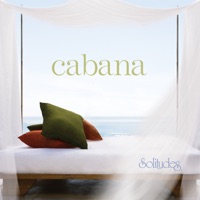Dan Gibson's Solitudes - Carefree