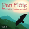 Time to Say Goodbye (Instrumental) - Pan Flöte