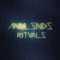 Entity - Anml Snds lyrics