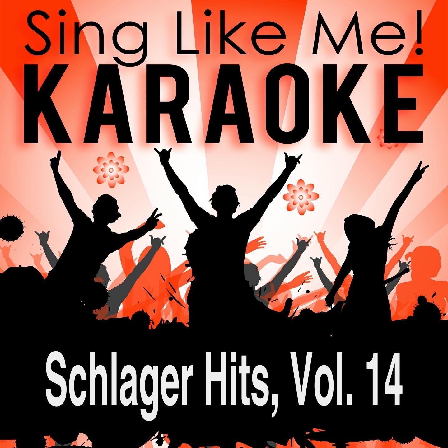Schlager Hits, Vol. 14 (Karaoke Version)