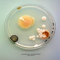 Contamination - Decontamination - Kurt Bauer