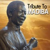 Tribute to Madiba - Single