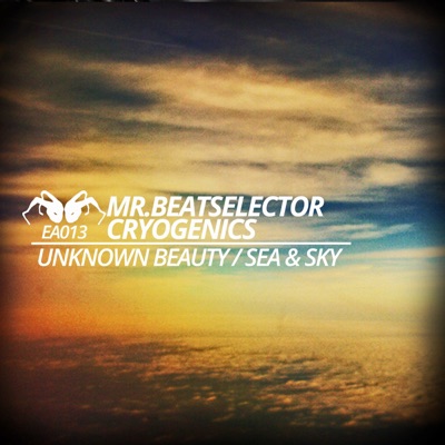 Unknown Beauty / Sea & Sky - Single
