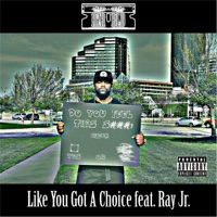 Like You Got a Choice (feat. Ray Jr.) - Single - Rzr Bld