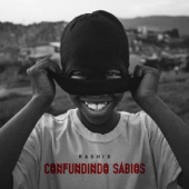 Confundindo Sábios artwork