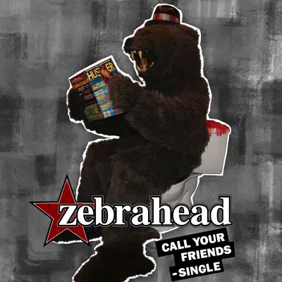Call Your Friends - Single - Zebrahead