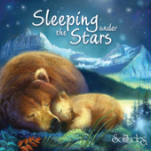 Sleeping Under the Stars - Dan Gibson's Solitudes