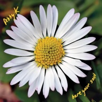 Bare Your Soul - Abby K