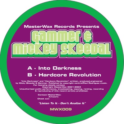 Into Darkness / Hardcore Revolution - Single