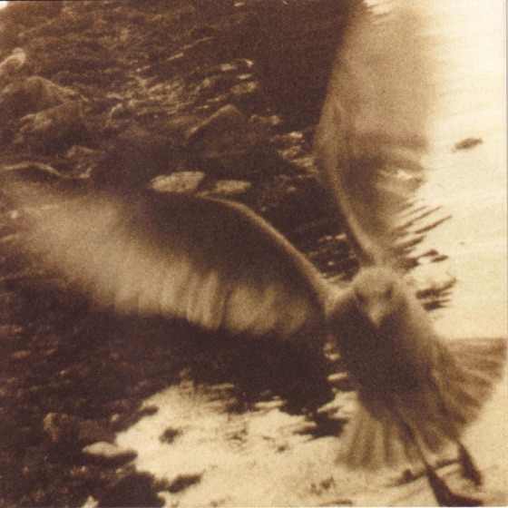 Cover artwork for I'm Sorry