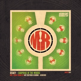 Acidcore (Reaky Remix) Ace Ventura & Darma