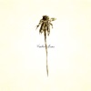 Patrick Watson - Big Bird in a Small Cage