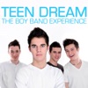 Teen Dream: The Boy Band Experience