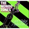 Skylark - The Mondo Tones lyrics