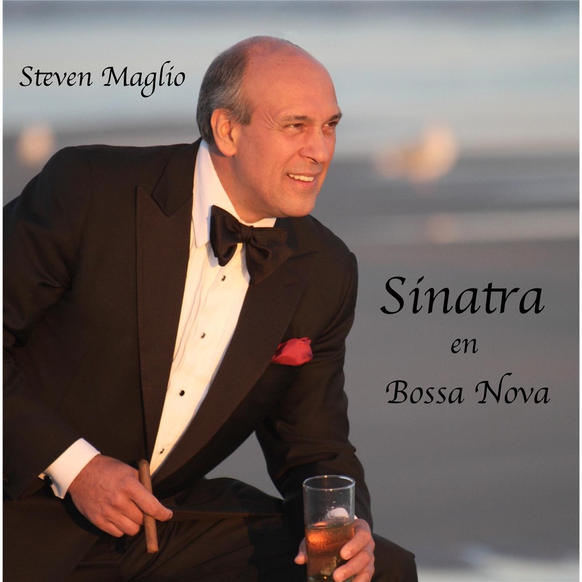 Sinatra En Bossa Nova - Album by Steven Maglio - Apple Music