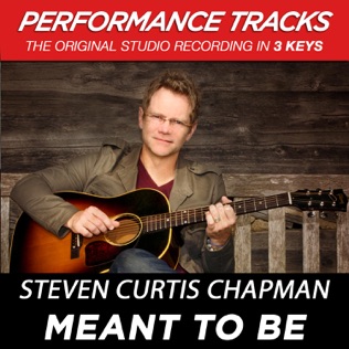 Steven Curtis Chapman Meant To Be