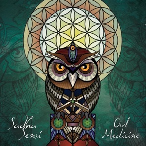 Owl Medicine