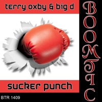 Sucker Punch - Single - Terry Oxby & Big D