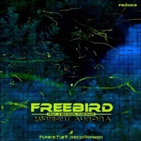 Midnight Aurora - Single - Freebird