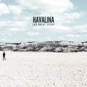 Havalina - Desierto