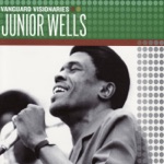 Junior Wells - Shake It Baby