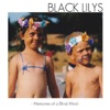 Black Lilys