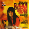 Gülden Karaböcek - Hatıran Yeter artwork