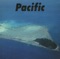 PACIFIC ジャケット写真