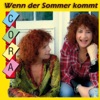 Wenn der Sommer kommt (Radio Edit)