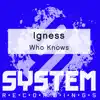 Stream & download Who Knows - Single