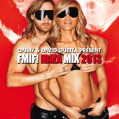 Cathy & David Guetta Present FMIF! Ibiza Mix 2013 artwork